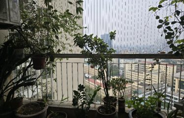 Bán Căn Hộ Chung Cư Tháp A 173 Xuân Thủy, cầu giấy