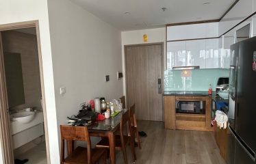 Bán căn hộ lô góc tại Vinhomes Smart City Full nội thất