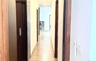 Bán Căn Hộ Chung Cư the Emerald, Mỹ Đình 1 – Nam Từ Liêm