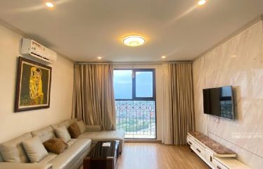 Bán Căn Hộ Chung Cư the Emerald, Mỹ Đình – Nam Từ Liêm