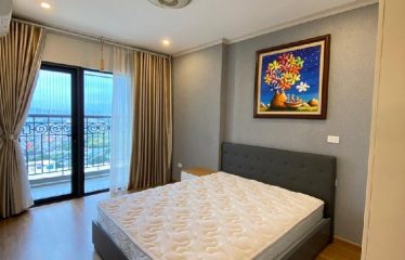 Bán Căn Hộ Chung Cư the Emerald, Mỹ Đình – Nam Từ Liêm
