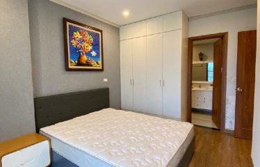 Bán Căn Hộ Chung Cư the Emerald, Mỹ Đình – Nam Từ Liêm