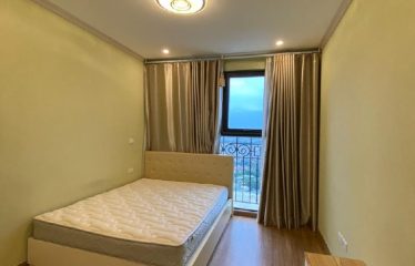 Bán Căn Hộ Chung Cư the Emerald, Mỹ Đình – Nam Từ Liêm