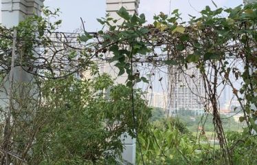 Bán Nhà 5 Tầng Khu Tập Thể Bộ Công an Lương Thế Vinh Ngõ ÔTÔ