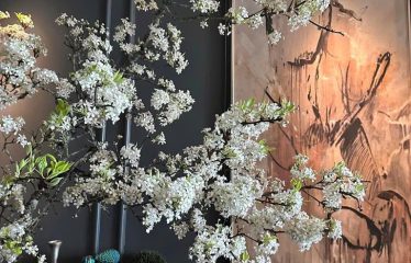 Bán Căn Hộ Chung Cư Tòa 17T7 KĐT Trung Hòa Nhân Chính Ở Ngay