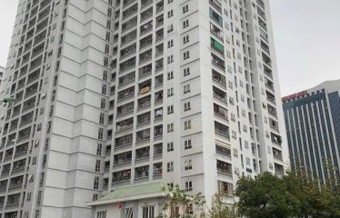 Bán Căn Hộ Chung Cư Ct2 A10 Nam Trung Yên, Yên Hòa, Cầu Giấy