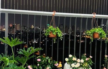 Bán Căn Hộ Chung Cư Starup Tower 91 Đại Mỗ, Gần Louis City