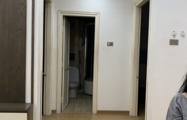 Bán Căn Hộ Chung Cư N04 Trần Quý Kiên, Nghĩa Đô, Cầu Giấy