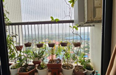 Bán Căn Hộ Chung Cư Nthome 109 Nhổn – Full Nội Thất