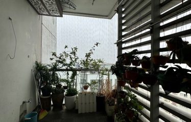 Bán Căn Hộ Chung Cư Thăng Long Number One – Lô Góc 3 Thoáng