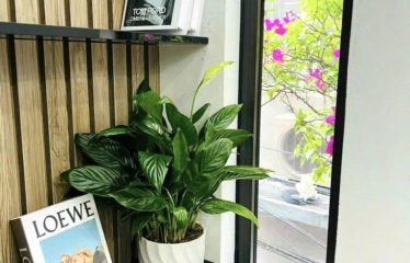 Bán Nhà Xuân Thủy – Trung Tâm Cầu Giấy – Full Nội Thất