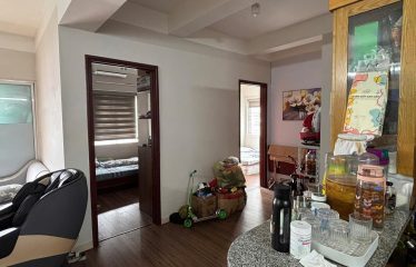 Chính Chủ Bán Nhanh Căn Hộ Góc Đẹp – No3-T8 Ngoại Giao Đoàn